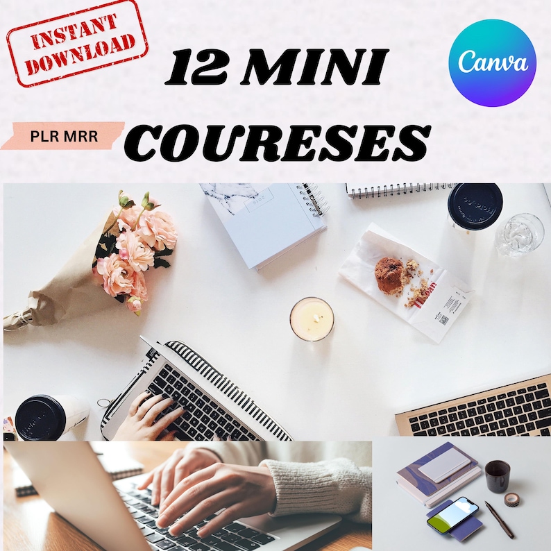 12 Mini Digital Marketing Courses Bundle with Master Resell Rights